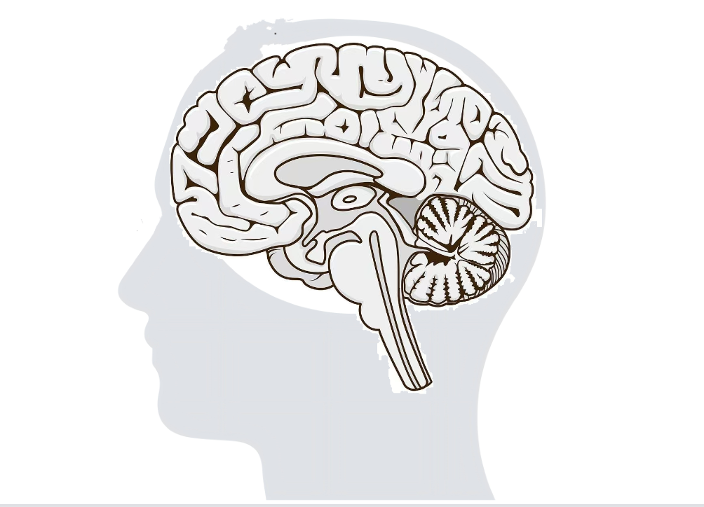 6c0aaf8215143b3e5e0666cb47f49a0.png