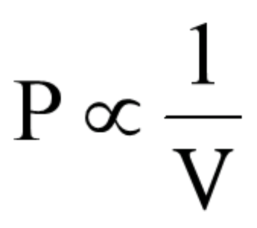 project-image