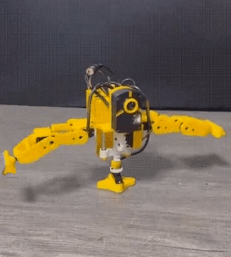 00145----.gif