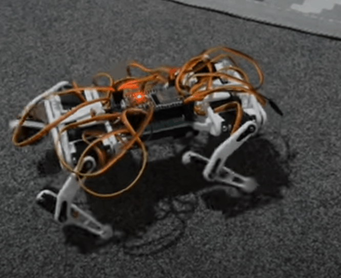 00141=--.gif