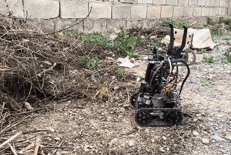 00182--.gif