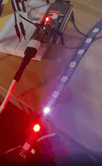 008--.gif