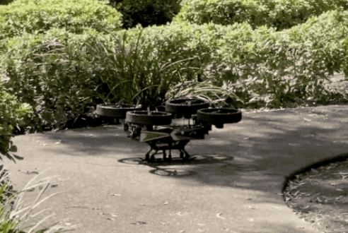 00140.gif