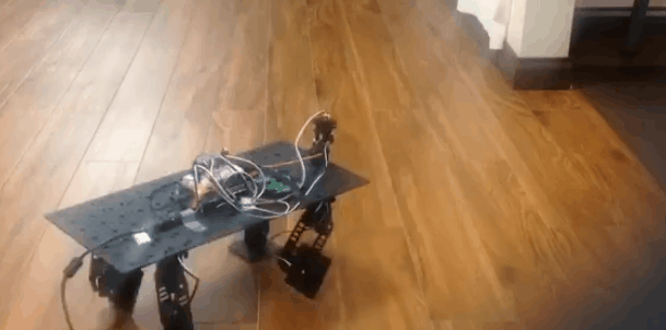 00177---.gif