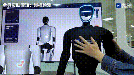 13.gif