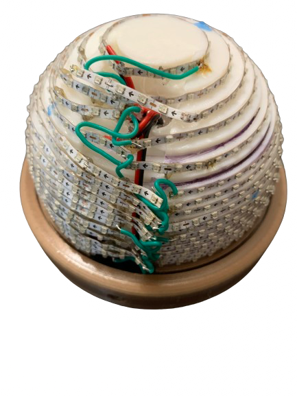 20 (1).png