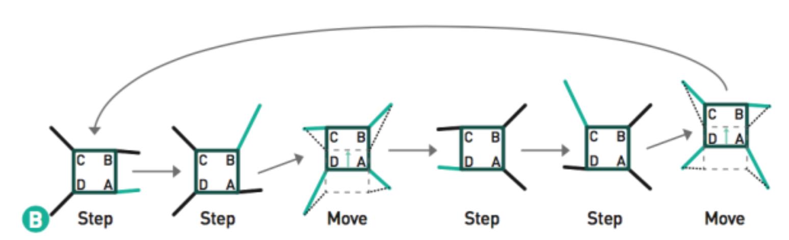 02.jpg