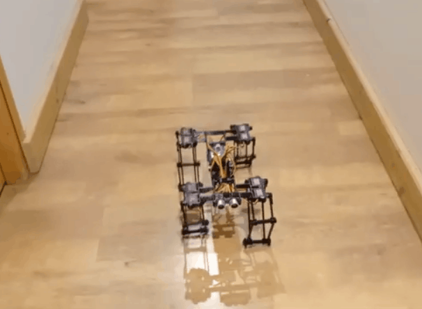 00180---.gif