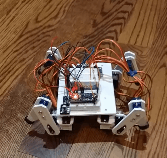 00181---.gif