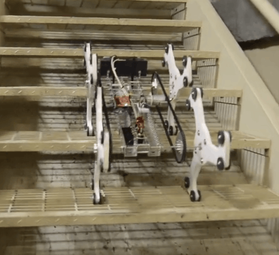 00137---.gif