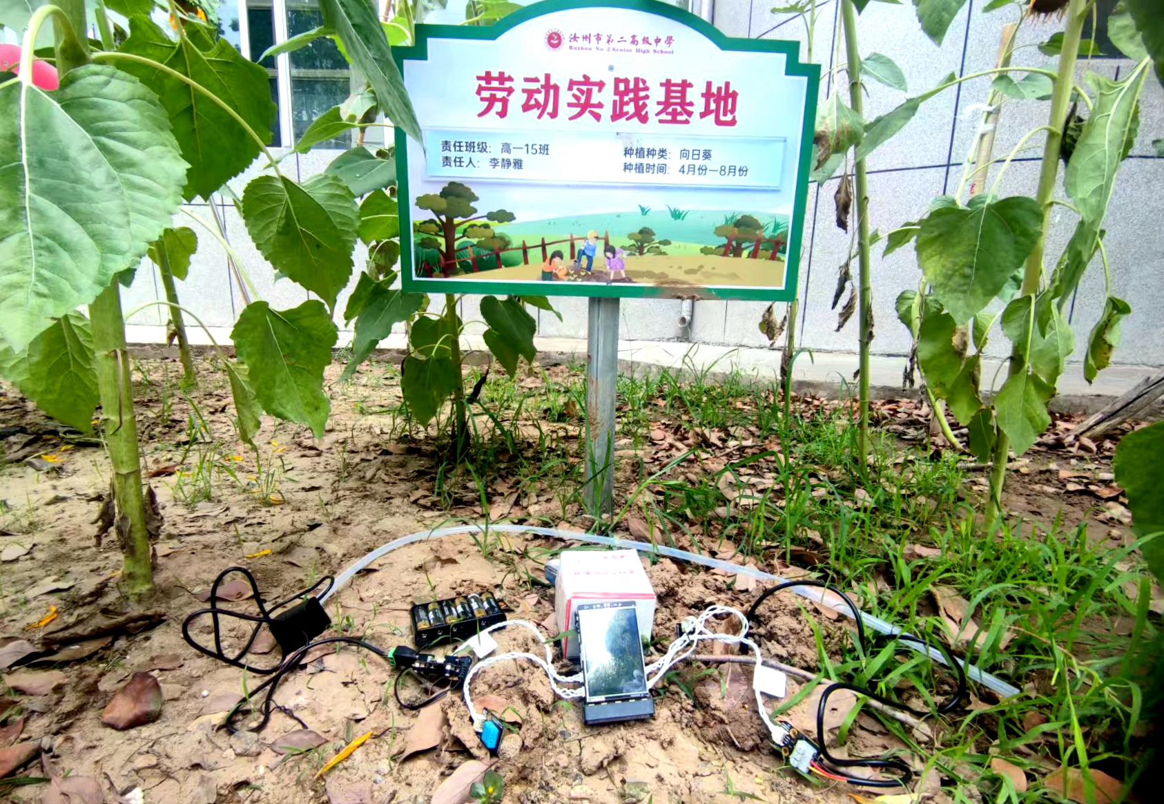 微信图片_20250624104859_副本.jpg