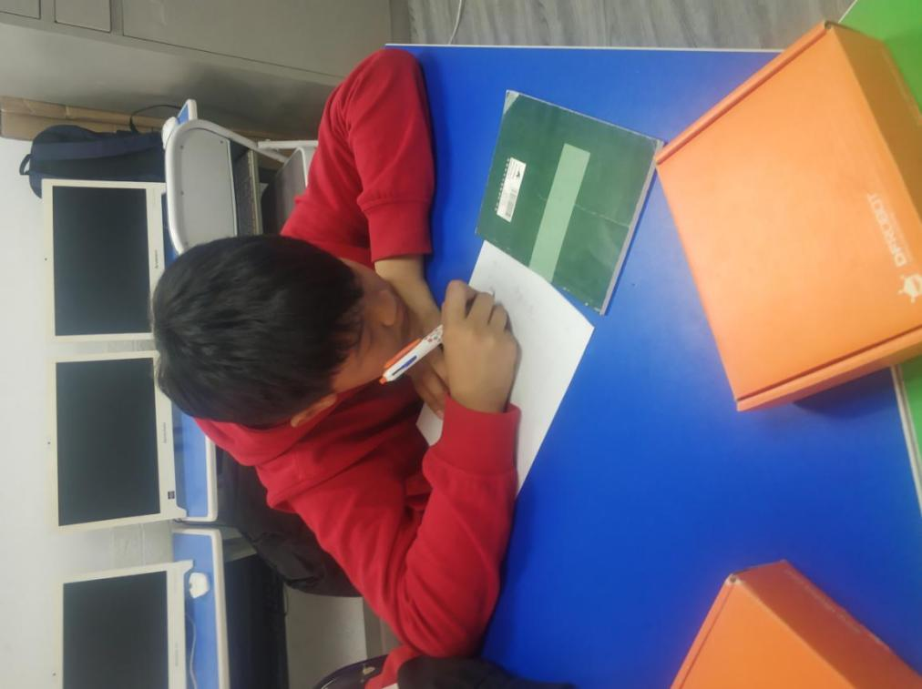 projectImage