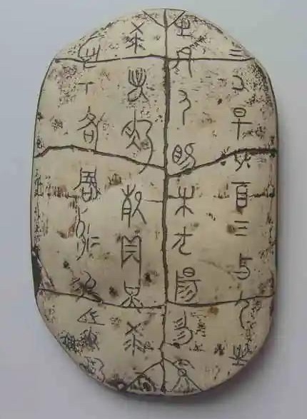 01_甲骨文实物.jpeg