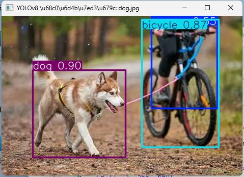 dog.jpg